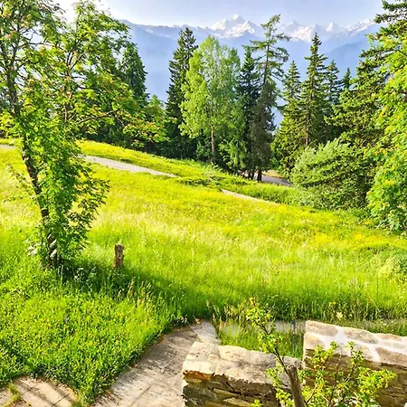 Sur Le Roc Crans-Montana